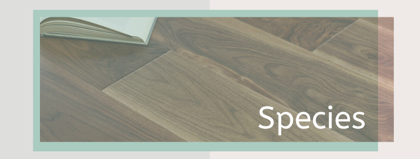 Engineered Wood Flooring Species